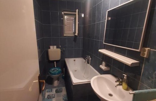 Zelenka Apartment | Milunović apartmani