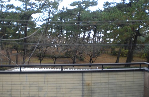 Numazu Hotel | Minato Oasis Numazu
