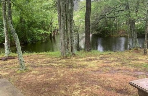 Allen Cabin | Mini Cabin 7 Near Ocean City & Assateague On catch and release fishing lake