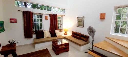 Cozumel House | Mini Pini Birdwatching and cenote loft4 you only