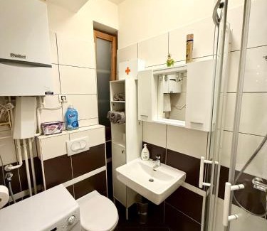 Cakovec Apartment | Mini Studio