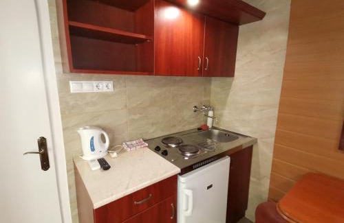 Hajduszoboszlo Apartment | Mini Villa