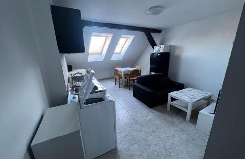 Szombathely Apartment | MINIBAR INCLUSIVE! TH325 City Center 60 sqm Apartment