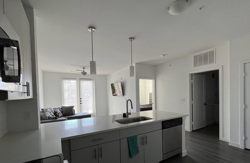 Roanoke Apartment | Minimalistic luxury ®️