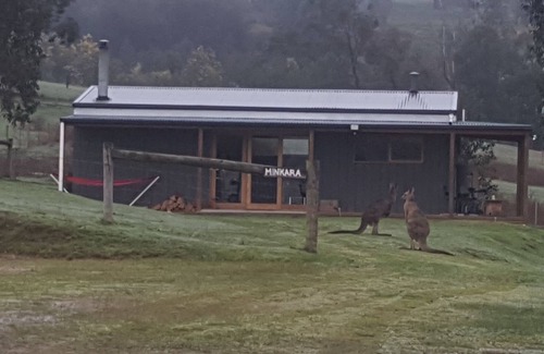 Chum Creek Cabin | Minkara Homestay - bush retreat fully self contained cabin on 10 acres