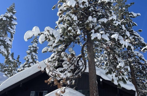 Tahoe Tyrol Ski Chalet | Minutes to Tahoe fun! Family friendly retreat