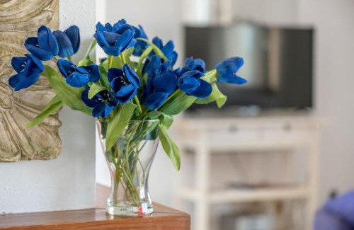 Colonia de Sant Pere Apartment | Miramar