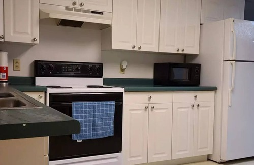 New Albin Apartment | Mississippi Furnished Rental on Pool 9