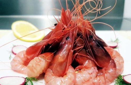 Gallipoli Bed & Breakfast | Mistral Exclusive B&B
