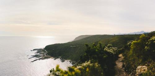 Storms River Hotel | Misty Mountain Reserve