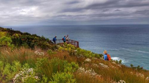Storms River Hotel | Misty Mountain Reserve