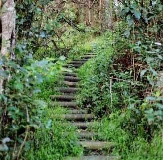Storms River Hotel | Misty Mountain Reserve