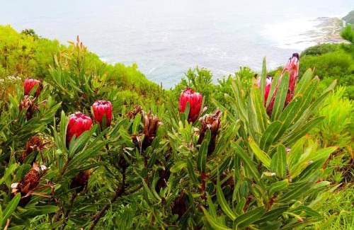 Storms River Hotel | Misty Mountain Reserve