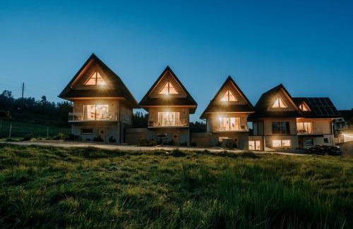 Bialka Tatrzanska Ski Chalet | Mleko domki