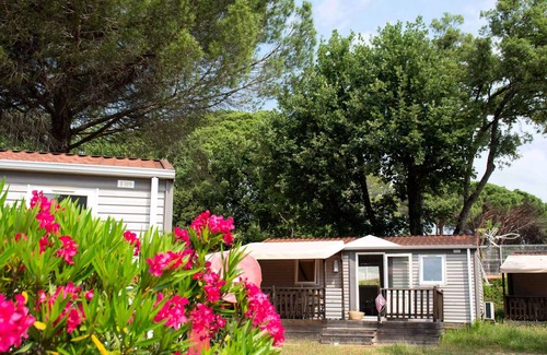 Puget-sur-Argens House | Mobile Home 3 Rooms 4/6 Persons Air-conditioned + TV