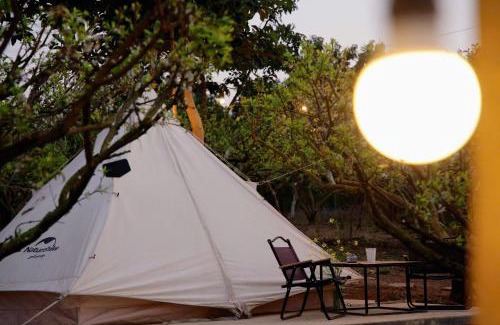 Moc Chau Other | Moc Chau Campfire - Vườn tôi chiều tím