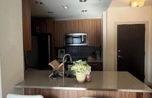 Downtown Apartment | Modern 1BR in Silver Spring