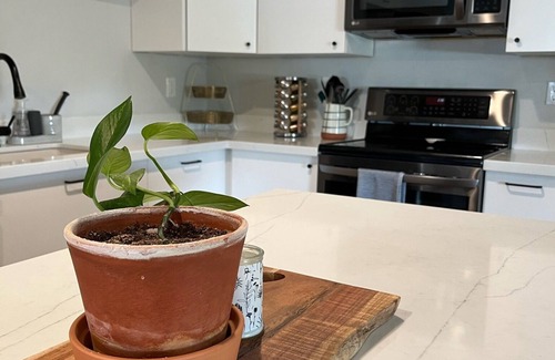 Mesa House | Modern 4 BED/3 BATH Newly Renovated Home