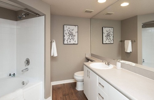 Tampa Apartment | Modern Apartment in Prime Location (ID8400X74)