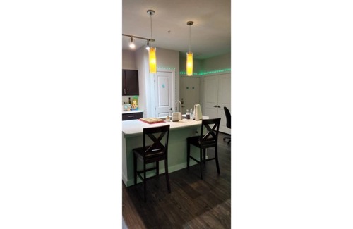Hunter's Chase Apartment | Modern Apartment N. Austin w/adjustable bed! :D