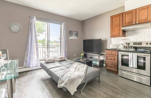 Rosedale Apartment | Modern Apartment - Near Downtown in Glenview West