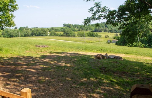 Nancy Cabin | Modern Cabin on wooded 20 acres with scenic view