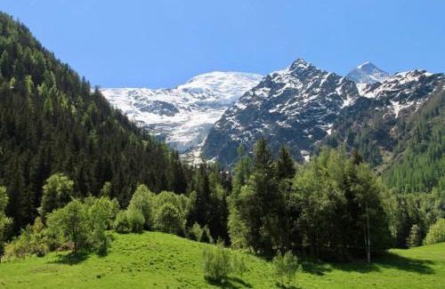 Les Bossons Ski Chalet | Modern Chalet With Garden Chamonix