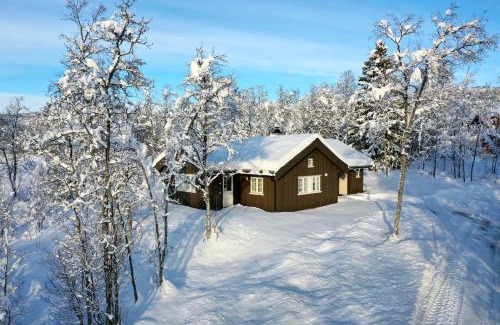 Beitostolen Ski Chalet | Modern Comforts, and Ski Access