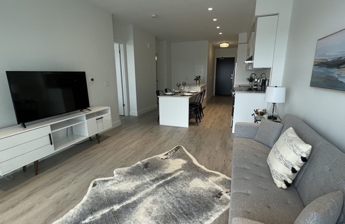 Cambridge Condo | Modern Condo in Downtown Cambridge- monthly options .