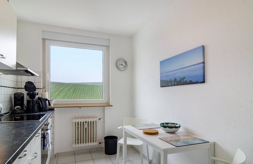 Meersburg Apartment | Modern Holiday Apartment "Alex" with Wi-Fi and Balcony