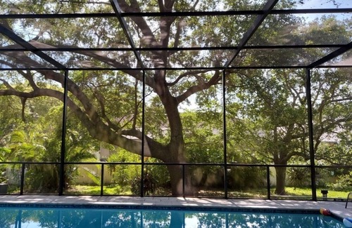 Palm Harbor House | Modern Jewel, 10 Min. drive to Honeymoon Island, Sleeps 4, Lap Pool, WorkoutRoom