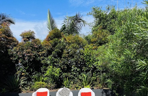 Bangalow Other | Modern Jungle Home in Heritage village 15 min to beaches