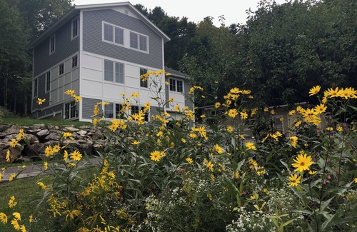 Camden House | Modern, Light-filled, Quiet Home within 5 Minute Walk to Harbor and Beach