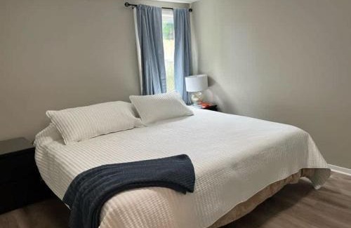 Madison Heights House | Modern & Renovated 3BR 1BA Home - Quiet & Cozy