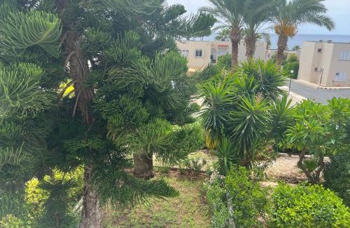 Pegeia Apartment | Modern Seaview Townhouse in Coral Bay