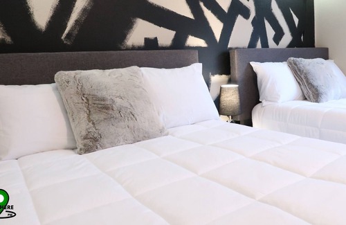 Astrodome Apartment | Modern Space with a Twist of Greenery