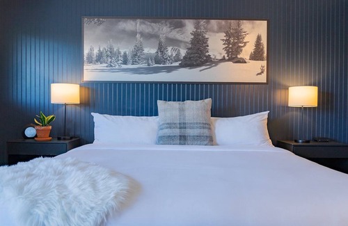 Winter Park Hotel | Modern Stay Near Downtown Winter Park with Hot Tubs & Gym Access