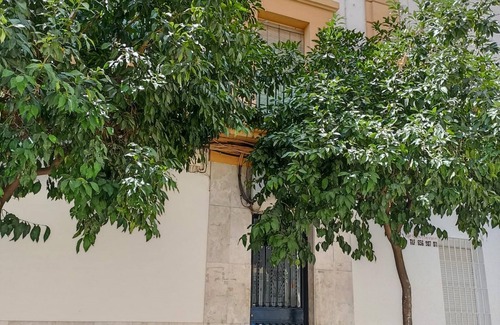 Ciudad Jardin Apartment | Modern study in Ciudad Jardin Córdoba