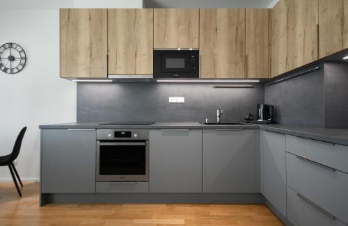 Zizkov Apartment | Modern Stylish Apartment with Private Garage