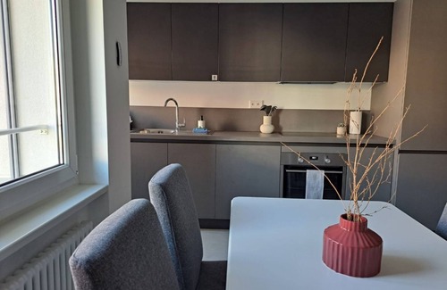 Viganello Apartment | Modern two-room apartment 15 minutes from Ciani Park (Urban 10)