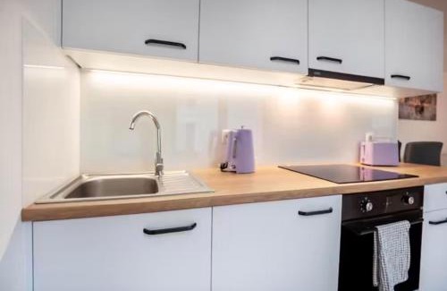 Greifswald Apartment | Modernes und wunderschönes Loft mit Terrasse, Gartenblick in Greifswald