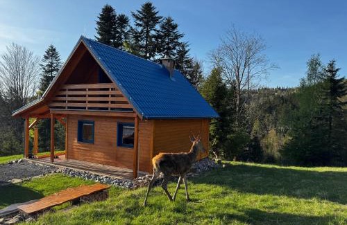 Dlha nad Kysucou Ski Chalet | Modrá chata pod horou