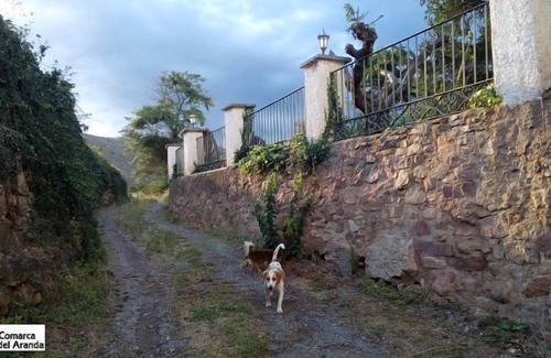 Aranda de Moncayo Cottage | Molino del Batán - Apartamentos turísticos for 4 people