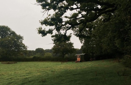 Trudoxhill House | Mollies Hut