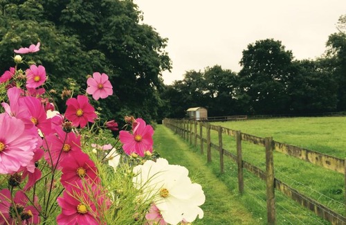 Trudoxhill House | Mollies Hut