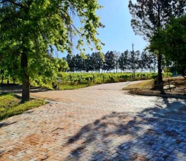 Cape Winelands Apartment | Mon Rêve Estate