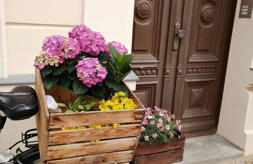 Neuruppin Apartment | Monastery pearl in the middle of the old town of Neuruppin