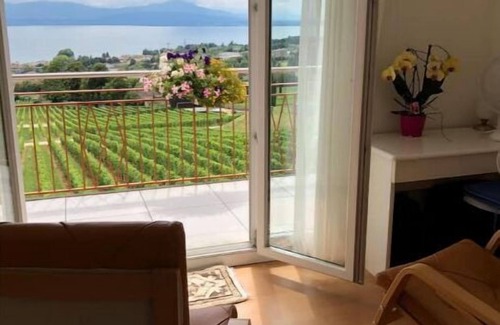 Mont-sur-Rolle Apartment | Mont-sur-Rolle Apartment with panoramic view