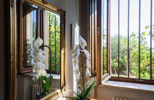 Montalcino Apartment | Montalcino your Tuscan home - Casa Vacanza Via Spagni 44