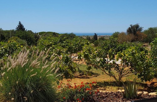 Albufeira Bed & Breakfast | Monte da Saudade